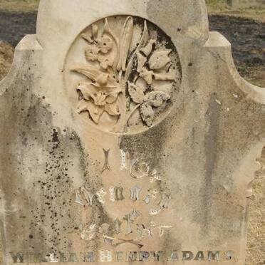 ADAMS William Henry 1873-1902
