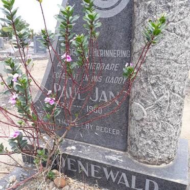 GROENEWALD Paul Jan 1883-1960