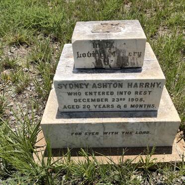 HARRHY Sydney Ashton -1905