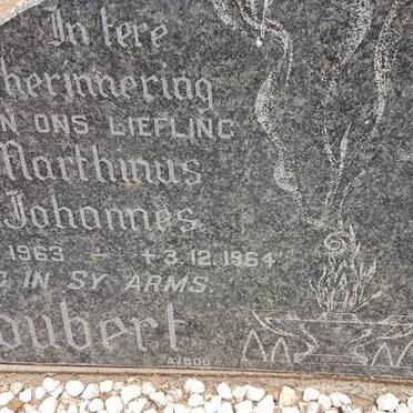 JOUBERT Marthinus Johannes 1963-1964
