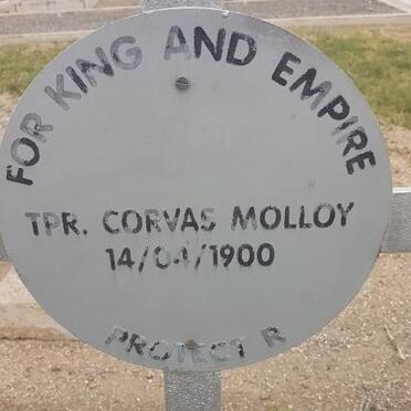 MOLLOY Corvas -1900
