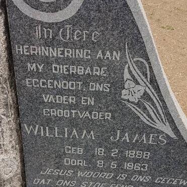 RYAN William James 1888-1963