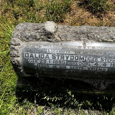 STRYDOM Dalida nee STEPHEN 1895-1950