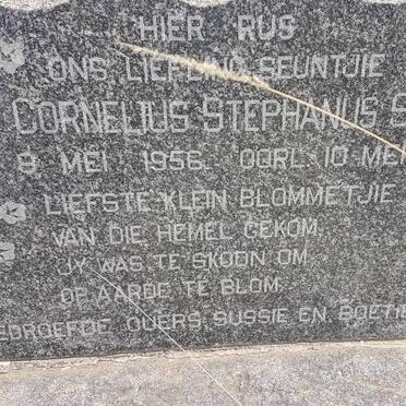 STOLTZ Gert Cornelius Stephanus 1956-1956