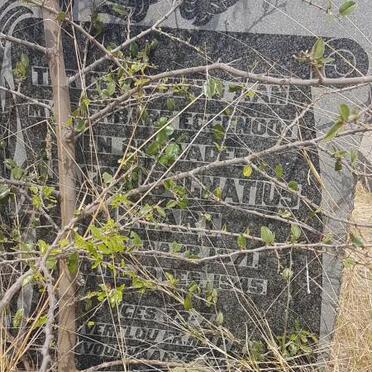 SWART Jacobus Ignatius 1871-1945