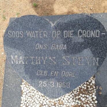 STEYN Matthys 1963-1963
