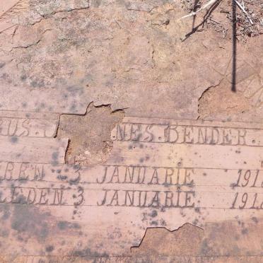 BENDER Petrus Johannes 1918-1918