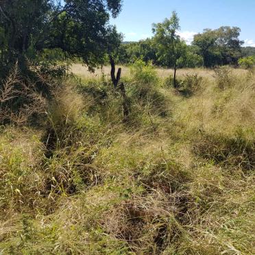 North West, MARICO district, Zeerust, Waterkloof 286 JP, Waterkloof farm cemetery_5