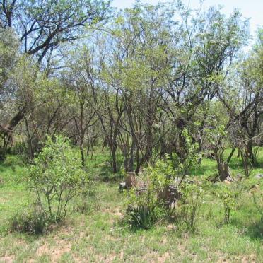 1. Oorsig/Overview