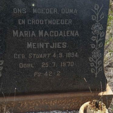 MEINTJIES Maria Magdalena nee STUART 1894-1970