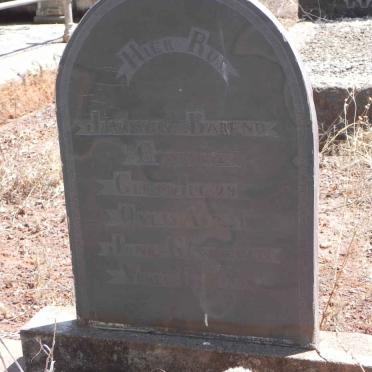 COETZEE Johannes Barend 1929-1931