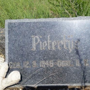 ? Pietertjie 1945-1949
