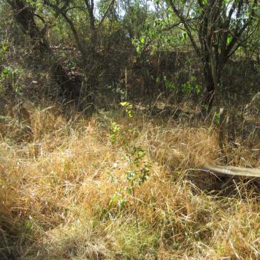 3. Overview