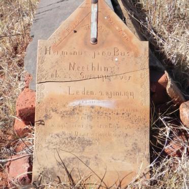 NEETHLING Hermanus Jacobus 1919-1919