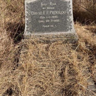PRINSLOO David F.P. 1893-1952