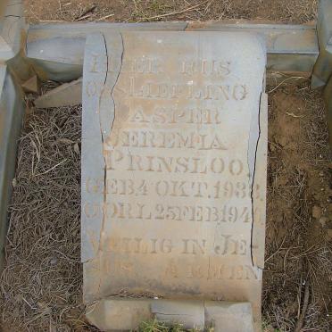 North West, POTCHEFSTROOM district, Syferfontein 438 IQ, farm cemetery 1