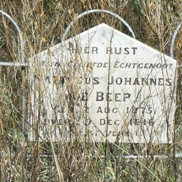 BEER Mattheus Johannes, de 1875-1916