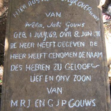 North West, POTCHEFSTROOM district, Parys, Koedoeslaagte 516 IQ_1, farm cemetery