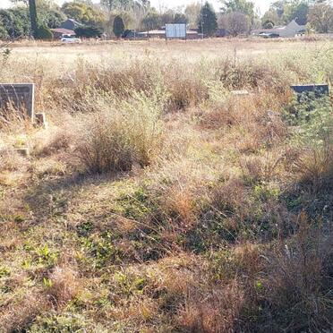 North West, POTCHEFSTROOM district, Vyfhoek AH, Vyfhoek 428, farm cemetery