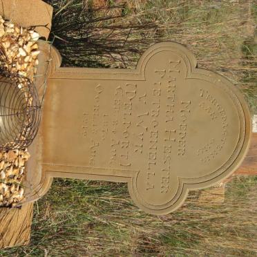 WYK Martha Hester Pietronella, v. nee DELPORT 1875-1919