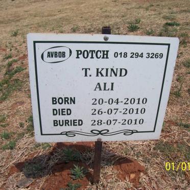 ALI T. Kind 2010-2010