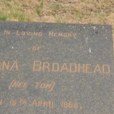 BROADHEAD Adiana nee TOM 1885-1958