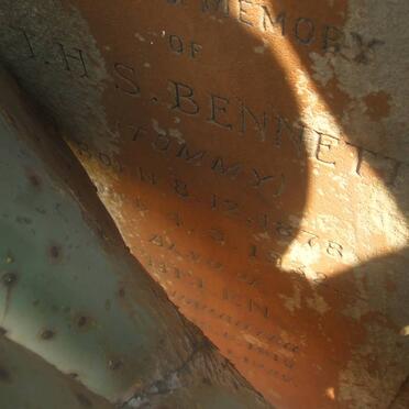 BENNETT T.H.S. 1878-1932 :: BENNETT Helen 1915-1925