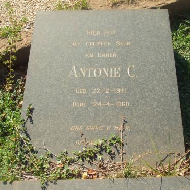 BOTHA Antonie C. 1941-1960