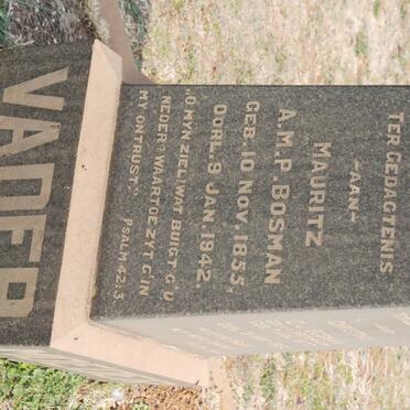 BOSMAN A.M.P. 1855-1942 &amp; C.J. VAN DER WESTHUIZEN 1877-1961