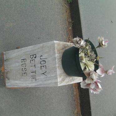 BOTHA Johan David 1886-1939 &amp; Johanna Margaret 1858-1962