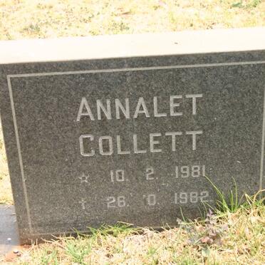 COLLETT Annalet 1981-1982
