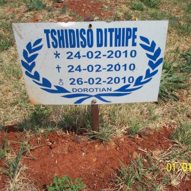 DITHIPE Tshidiso 2010-2010