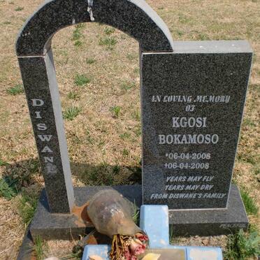 DISWANE Kgosi Bokamoso 2008-2008
