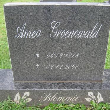 GROENEWALD Amea 1978-2006