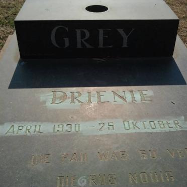 GREY Drienie 1930-1987