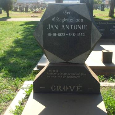 GROVÉ Jan Antonie 1923-1963
