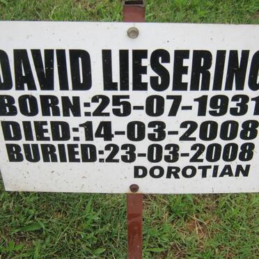 LIESERING David 1931-2008
