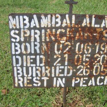 MBAMBALALA Springkatsie 1943-2002