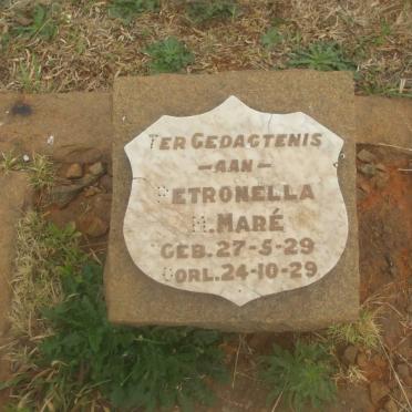 MARE Petronella M. 1929-1929