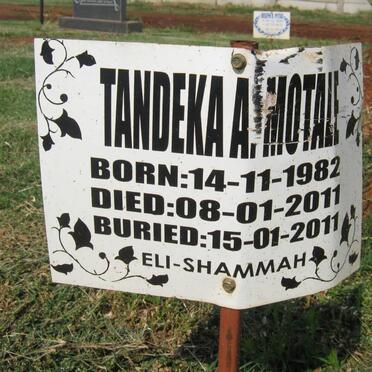 MOTALE Tandeka A. 1982-2011