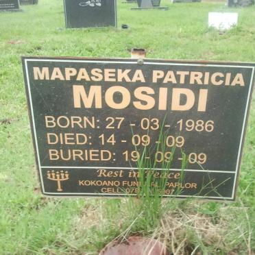 MODISI Mapaseka Patricia 1986-2009
