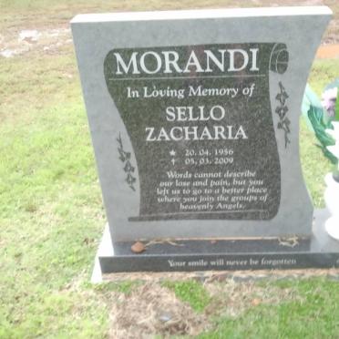 MORANDI Sello Zacharia 1956-2009
