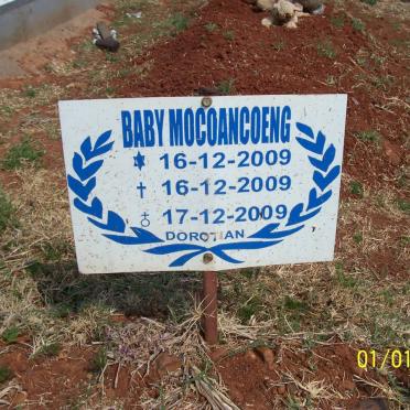 MOCOANCOENG Baby 2009-2009