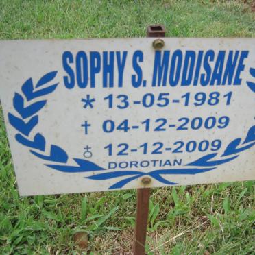MODISANE Sophy S. 1981-2009