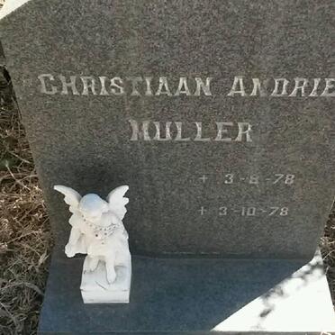 MULLER Christiaan Andries 1978-1978