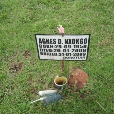 Nx - Surnames starting with the letters Nx 