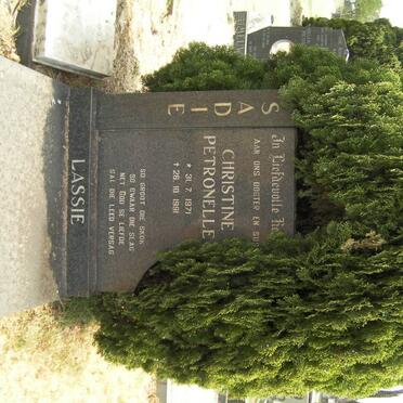 Sa - Surnames starting with the letters Sa