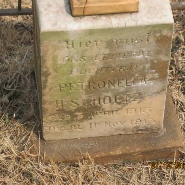 SCHOLTZ Petronella H. 1915-1915
