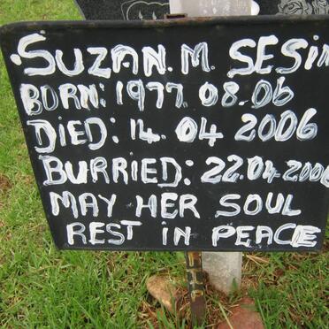 SESING Suzan M. 1977-2006