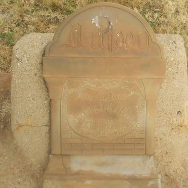 VILJOEN Hendrik J.S. 1932-1933